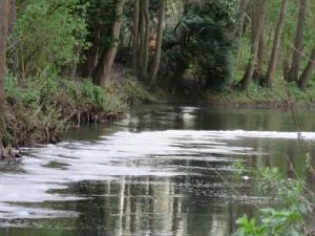 Pollution du Thérain à Beauvais : la fédération de pêche de l’Oise réclame 459 000 euros à l’agglomération